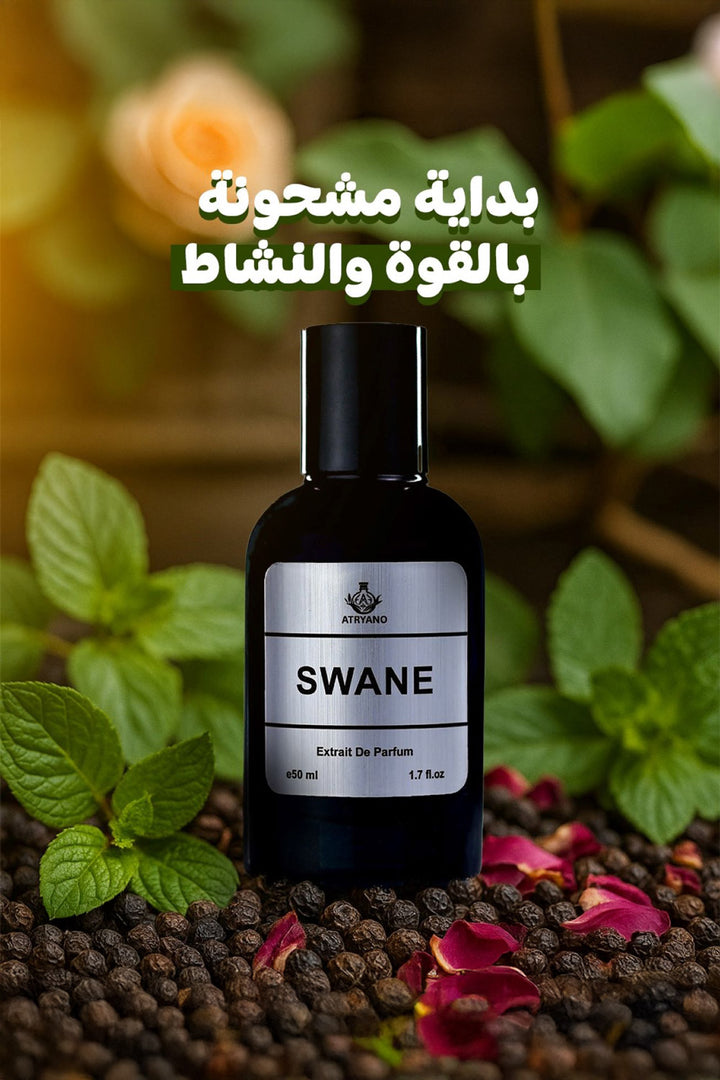 Swane